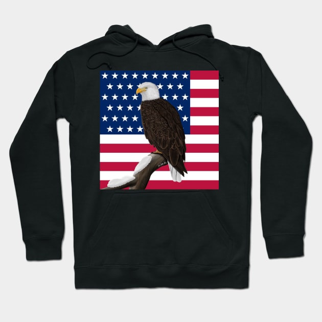 Bald Eagle Bird Illustration Stars&Stripes Hoodie by jzbirds